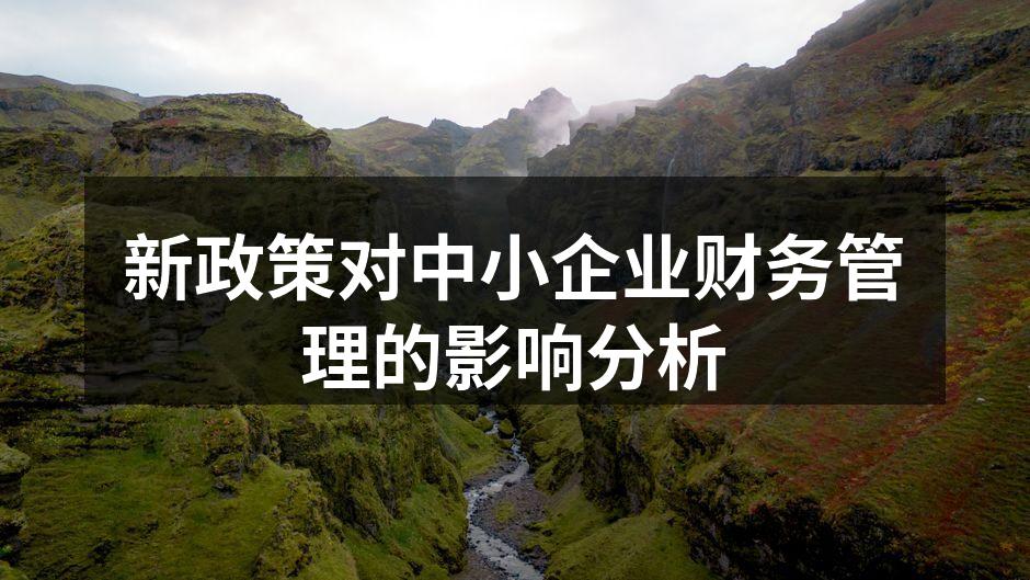 新政策对中小企业财务管理的影响分析