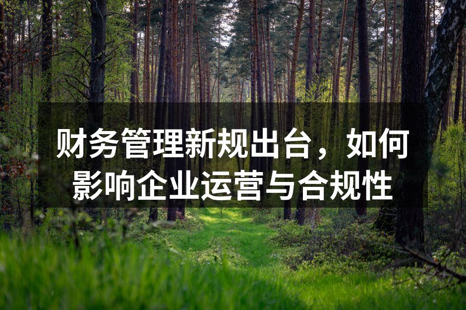 财务管理新规出台，如何影响企业运营与合规